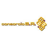 Consorcio BR logo - Similar company to Ationet Llc