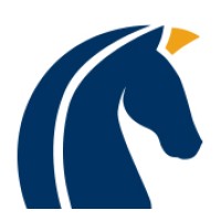 Shining Knights logo - Similar company to Eco Maintenance