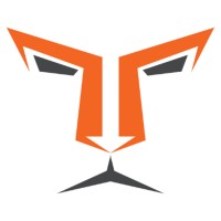 Lion TCR logo - Similar company to Lean+ (Leanplus)