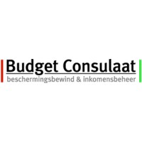 Budget Consulaat logo - Similar company to Snijders Incasso Advocaten
