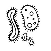 Superorganism logo - Similar company to Waterloo Institute For Social Innovation And Resilience