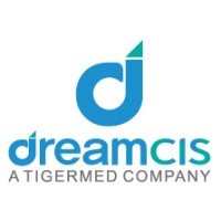 DreamCIS logo - Similar company to Lsk Global Ps
