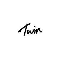 Twin Studio logo - Similar company to Vmotions