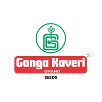 Ganga Kaveri Seeds Pvt Ltd logo - Similar company to Agro Indi Private Limited