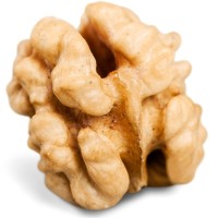 Walnuts logo - Similar company to Fiume Premium Walnuts
