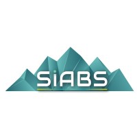 SIABS logo - Similar company to Sbais - Sociedade Brasileira De Analistas De Informação Em Saúde