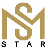 Ms Star Ltd logo - Similar company to It Star Ms