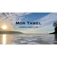 Mor Tawel Consultancy Limited logo - Similar company to Network75