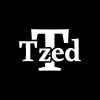 TzedTech logo - Similar company to Hoktech Co