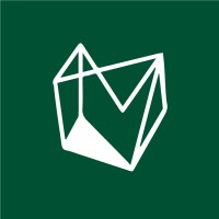 Team V logo - Similar company to Meemli