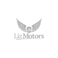 Lizmotors Mobility logo - Similar company to Adden Ai