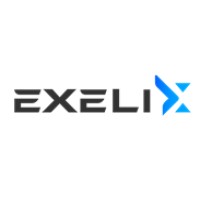 Exelix Automotive Srl logo - Similar company to Cmr Automotive Advisor