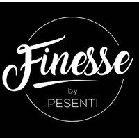Finesse By Pesenti logo - Similar company to Camynergie