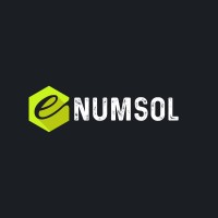 Enumsol LLC logo - Similar company to Novasync Dynamics