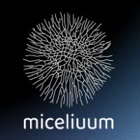 Miceliuum Ventures logo - Similar company to 128Zen
