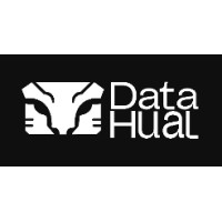 Datahual logo - Similar company to Metanoia Pnl