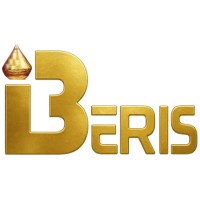 iBeris Software Solutions logo - Similar company to Bd Software Distribution Pvt Ltd