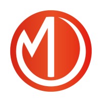 Mappio consulting logo - Similar company to Holistik Corp