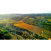 SAS Evariste logo - Similar company to Okore