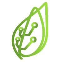 Sycamore logo - Similar company to Tree Studio