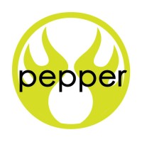 PEPPER SWIMWEAR LLC logo - Similar company to Gone Grey, Llc