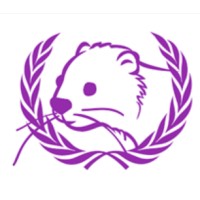 LSEMUN logo - Similar company to London Youth Diplomacy Foundation