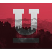 Uppercase logo - Similar company to Sagacity.Vc