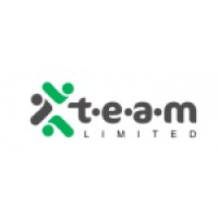 TEAM Limited Global logo - Similar company to Future Forge Labs
