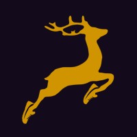Antlerzz Ltd logo - Similar company to Beyond Boundary