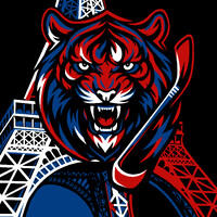 Paris Hockey sur Glace logo - Similar company to Le Store Parisien