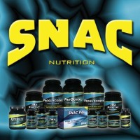 SNAC System logo - Similar company to Modishstore