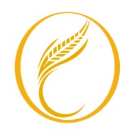 Seminario Bautista en Línea logo - Similar company to Explore God
