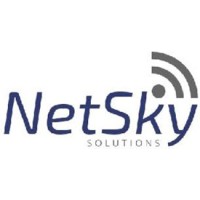 NetSky Solutions S.A. de C.V. logo - Similar company to Serfunsa S.A.