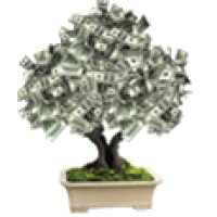 The Revenue Solution