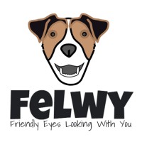 FELWY logo - Similar company to Qdynamics