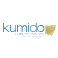 Kumido Adaptive Strategies