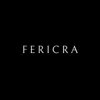 Fericra digital logo - Similar company to The Conversion Doc