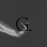 Guillaume Galaup logo - Similar company to Replay!