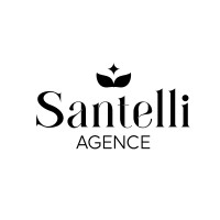 Agence SANTELLI logo - Similar company to Roma Consulting