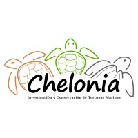 Chelonia, Investigación y Conservación de Tortugas Marinas logo - Similar company to West Shore Wildlife Center