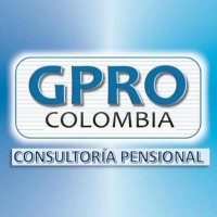 GPRO COLOMBIA LTDA. logo - Similar company to Bitword