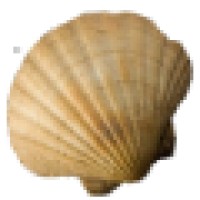 Pelgrimeren