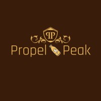 Propel Peak logo - Similar company to Moveup Digital