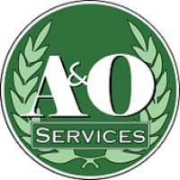Alpha And Omega Services - I.T