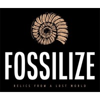 Fossilize LLC logo - Similar company to Ladybug Learning Academy