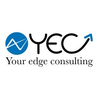 Your Edge Consulting SRL logo - Similar company to Weqan