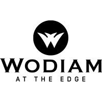 Wodiam GmbH logo - Similar company to 4Itego
