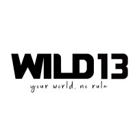 WILD 13 logo - Similar company to Kunshan Variety Plastic & Hardware (Ktk) Co., Ltd.
