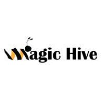 Magichive Manpower Development logo - Similar company to Sate Technologies