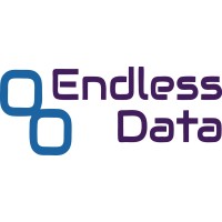 Endless Data - ZKTeco Authorized Distributor logo - Similar company to Consolidated Technologies Group
